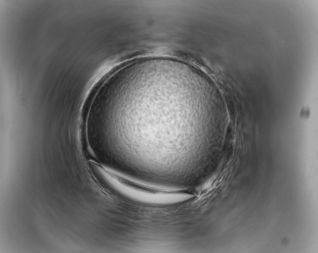 X0000098170152200805081009