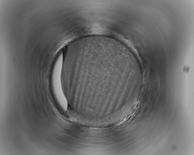 X0000098170154200805081009