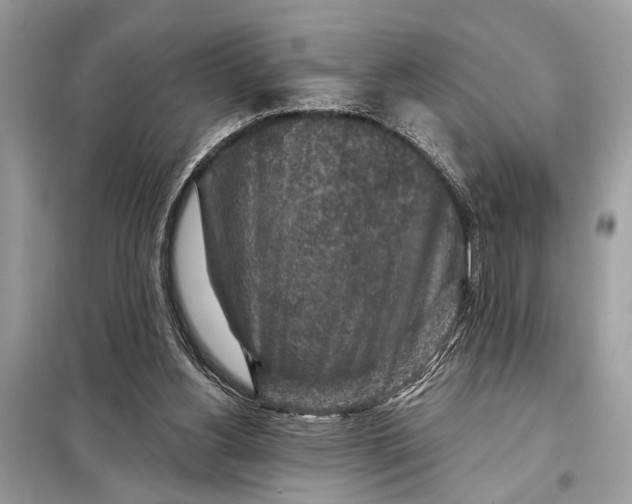 X0000098170156200805081009