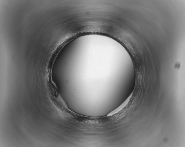 X0000098170160200805081009