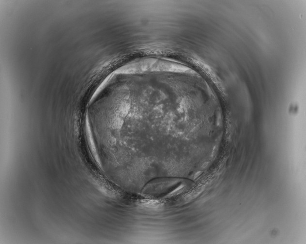 X0000098170161200805081009