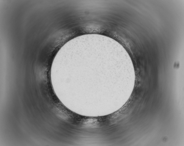 X0000098170162200805081009