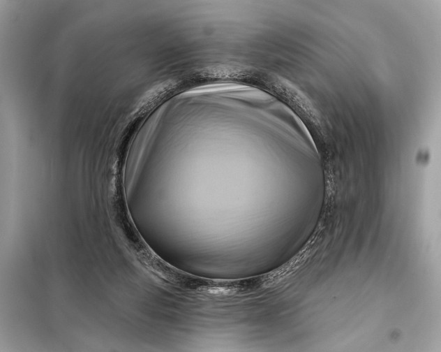 X0000098170163200805081009