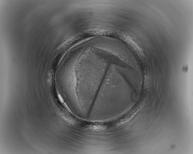 X0000098170165200805081009