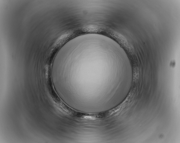 X0000098170167200805081009