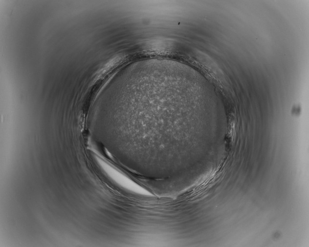 X0000098170168200805081009