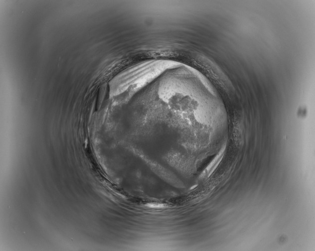 X0000098170169200805081009