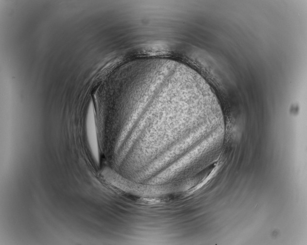 X0000098170170200805081009