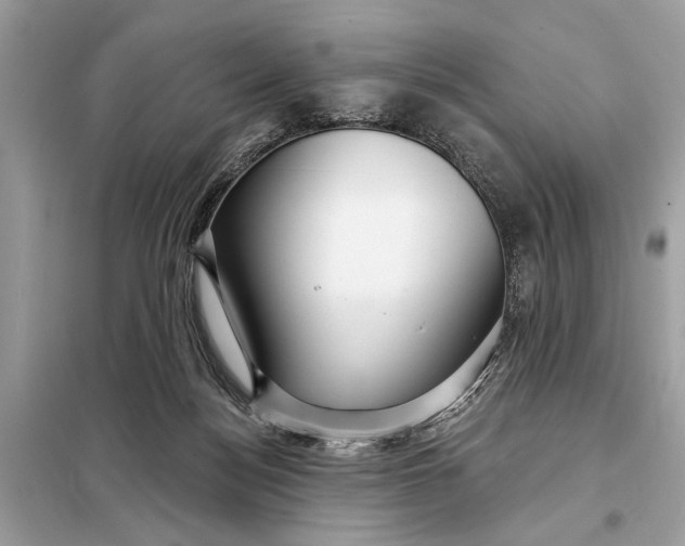 X0000098170172200805081009