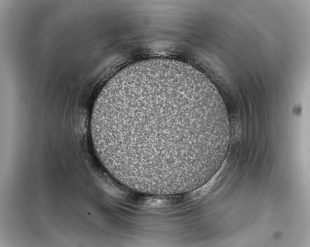 X0000098170174200805081009