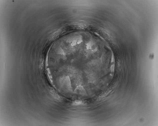 X0000098170177200805081009