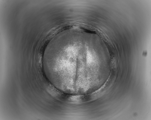 X0000098170178200805081009