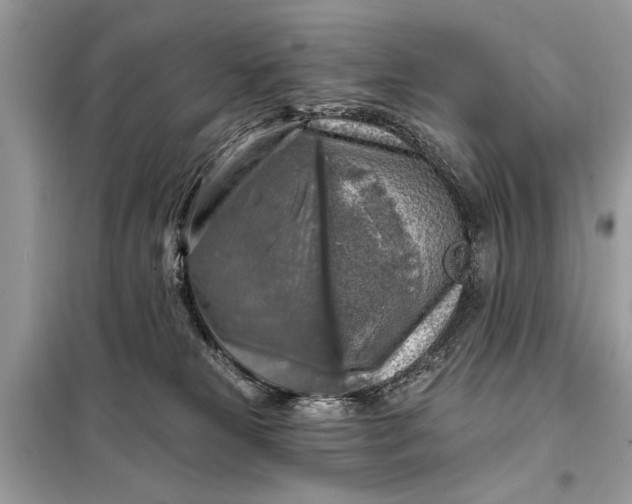 X0000098170181200805081009