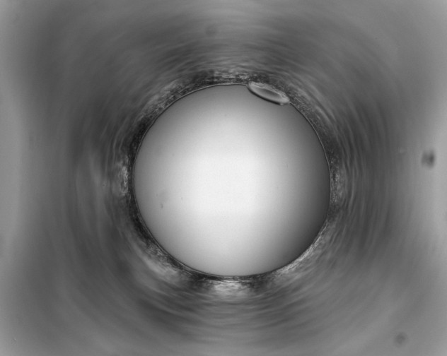 X0000098170183200805081009