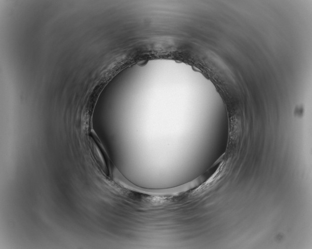 X0000098170184200805081009