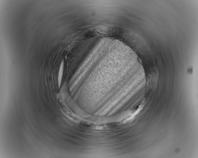 X0000098170186200805081009