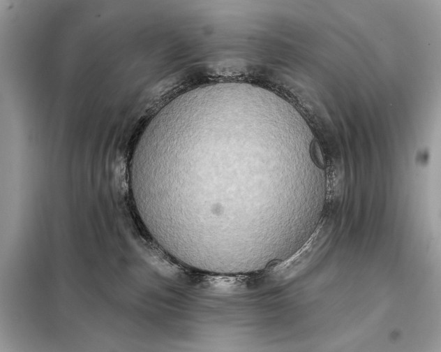 X0000098170187200805081009