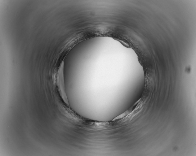 X0000098170188200805081009