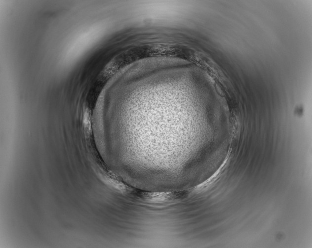 X0000098170191200805081010