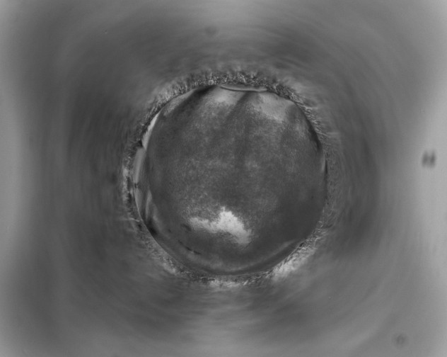 X0000098170192200805081010