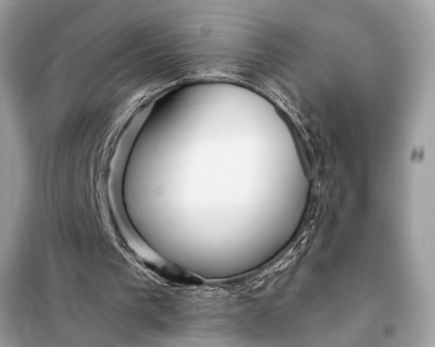 X0000098170193200805081009