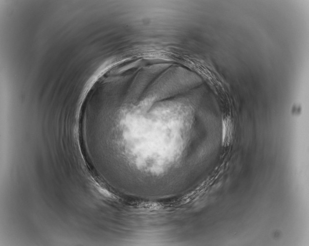 X0000098170195200805081009