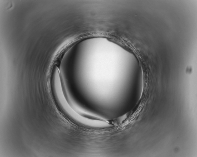 X0000098170197200805081009