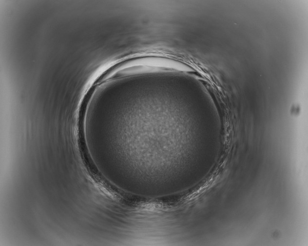 X0000098170200200805081009