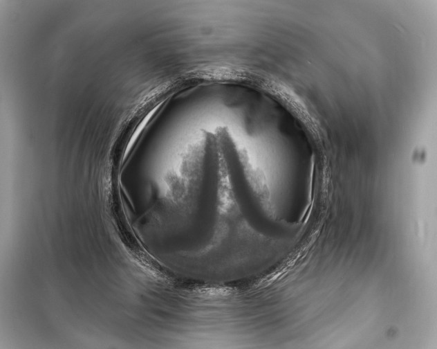 X0000098170202200805081009