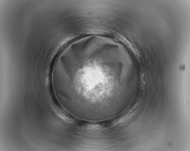 X0000098170203200805081009