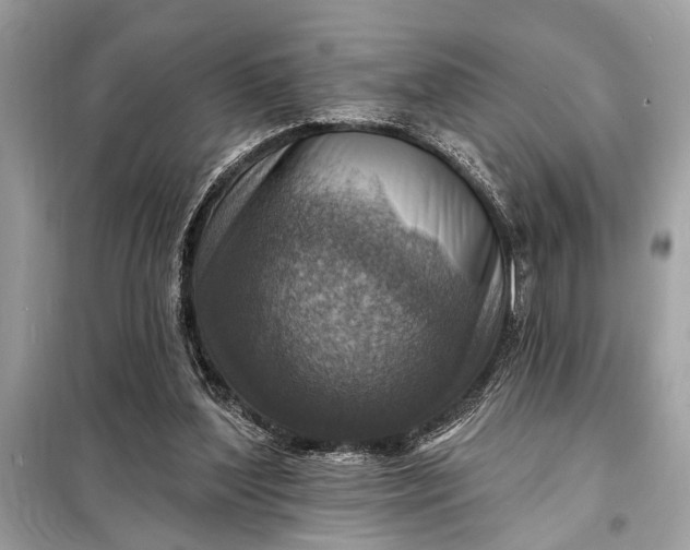 X0000098170204200805081009