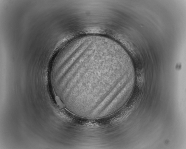 X0000098170207200805081008