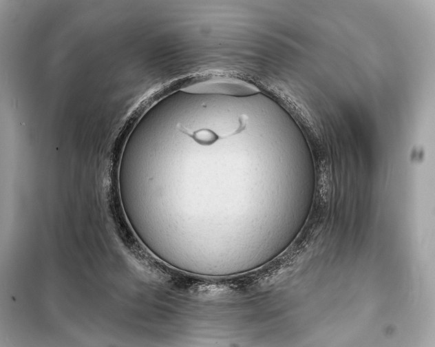 X0000098170208200805081008