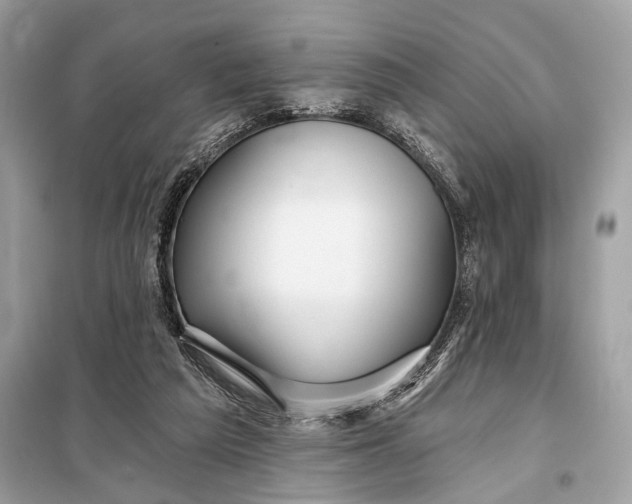 X0000098170209200805081008