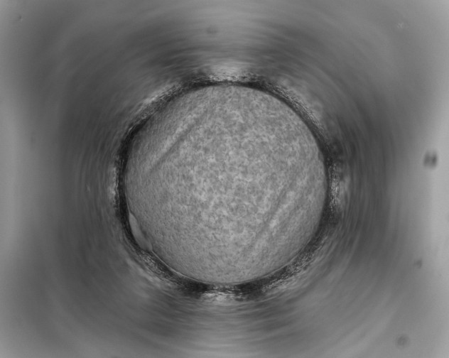 X0000098170211200805081008