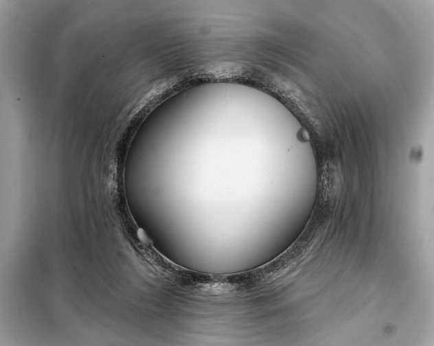 X0000098170212200805081008