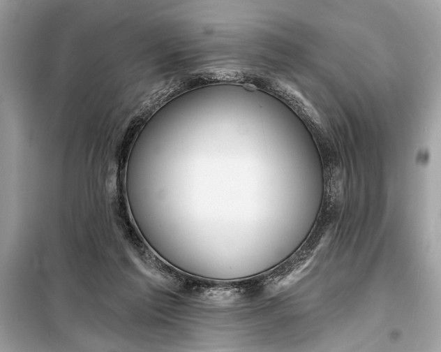 X0000098170213200805081008