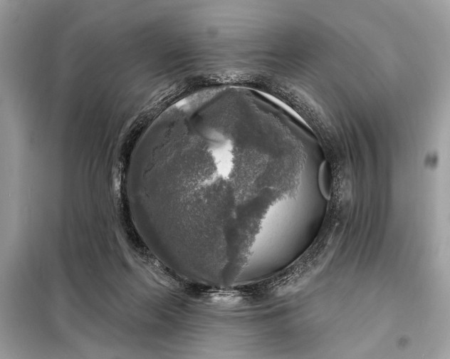 X0000098170214200805081008