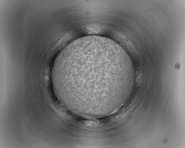 X0000098170215200805081008