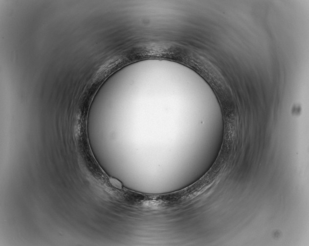 X0000098170216200805081008