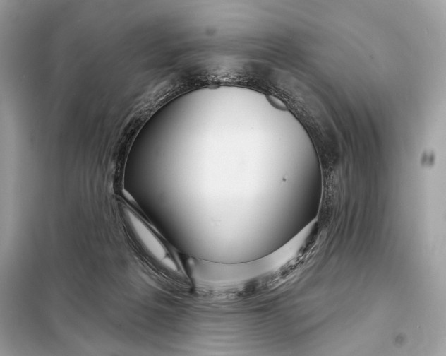 X0000098170217200805081008