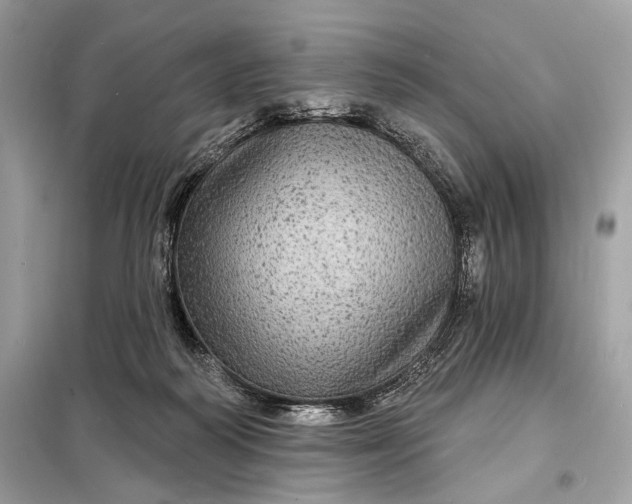 X0000098170218200805081008