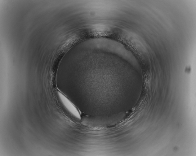 X0000098170219200805081008