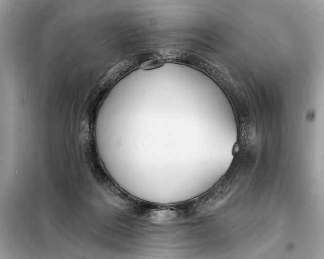 X0000098170220200805081008