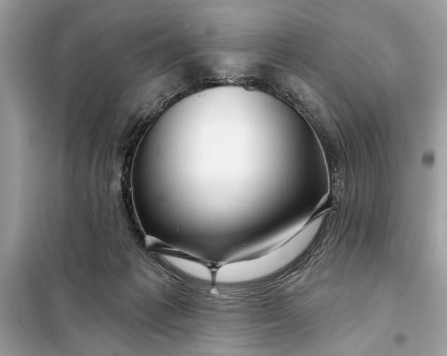 X0000098170221200805081008