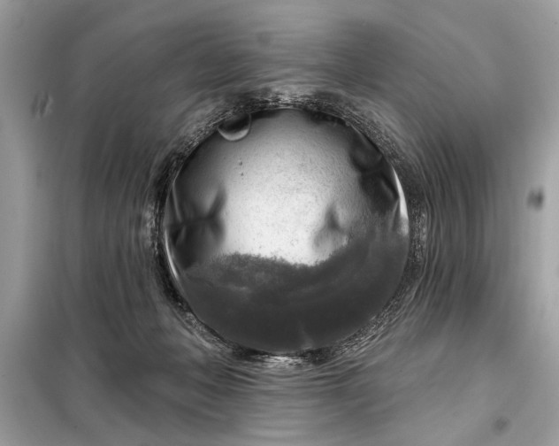 X0000098170222200805081008