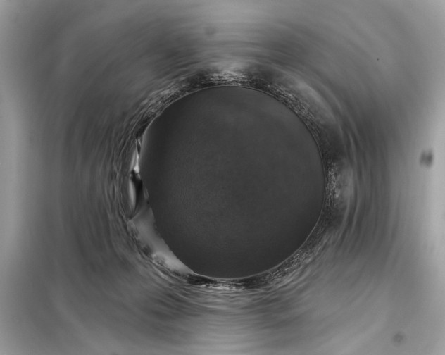 X0000098170223200805081008