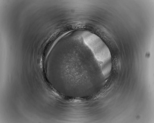 X0000098170224200805081008