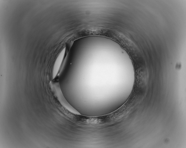 X0000098170225200805081008