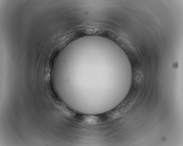 X0000098170226200805081008